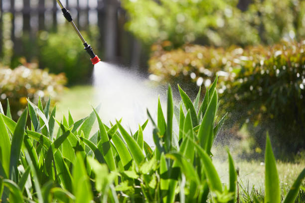 24/7 Emergency Fumigation Services experts in Crewe, VA